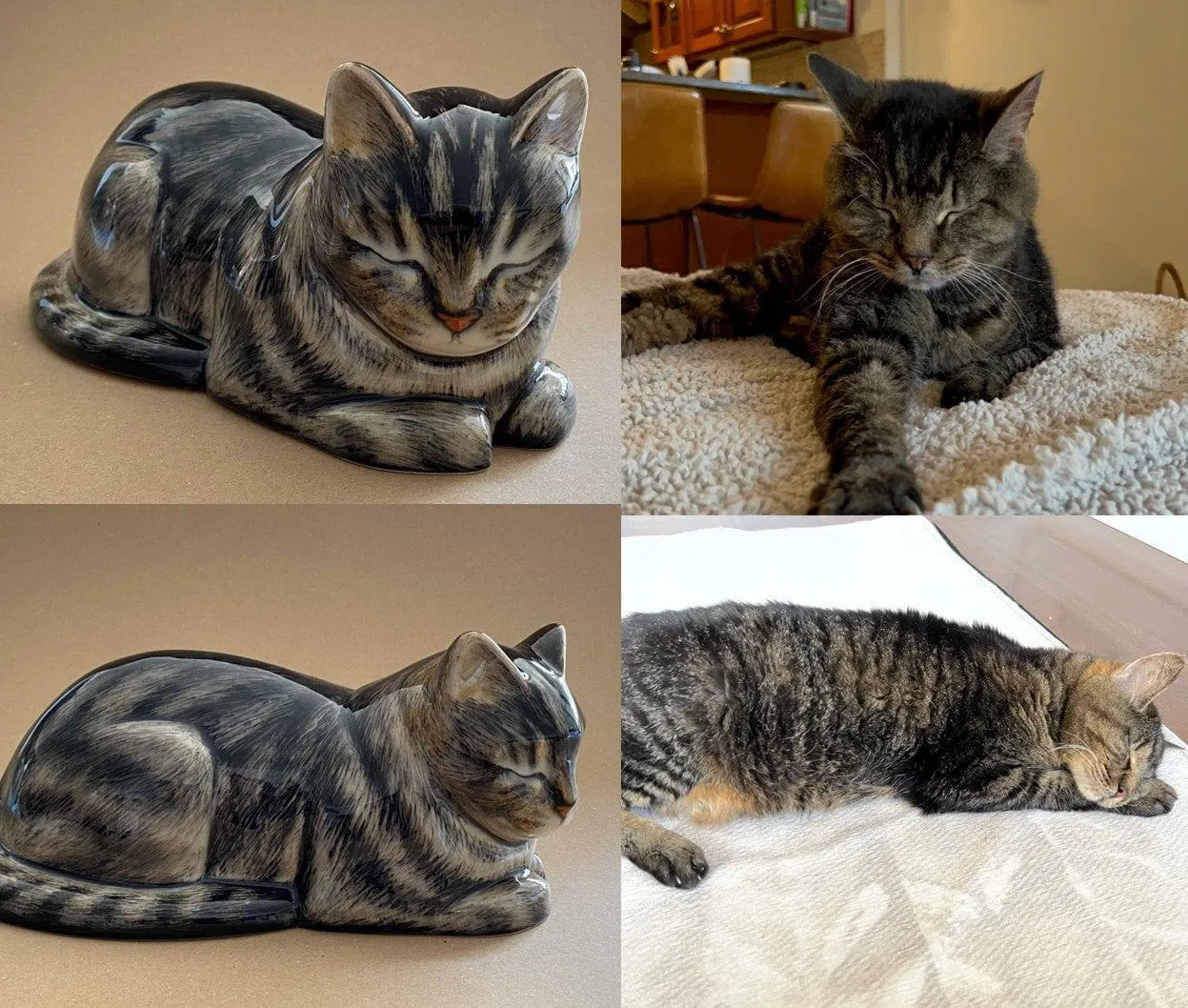 Pulvis Art Urns urna per animali personalizzata in ceramica