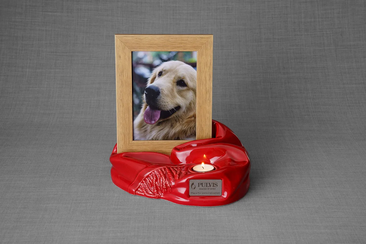 Pulvis Art Urns Cozy COZ urna animali con cornice