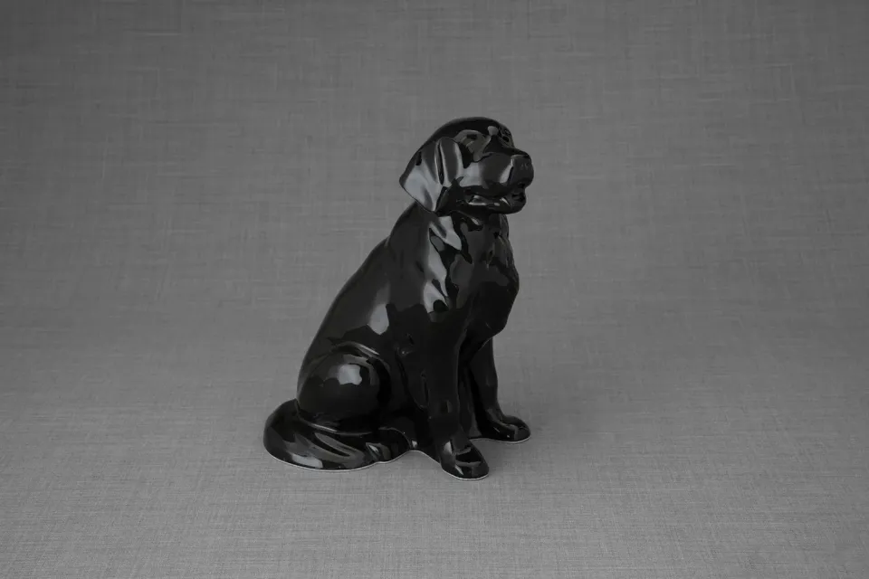 Pulvis Art Urns Golden Retriever urna per animali