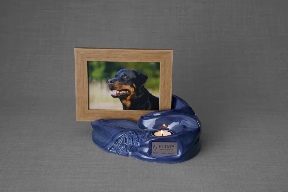 Pulvis Art Urns Cozy COZ urna animali con cornice