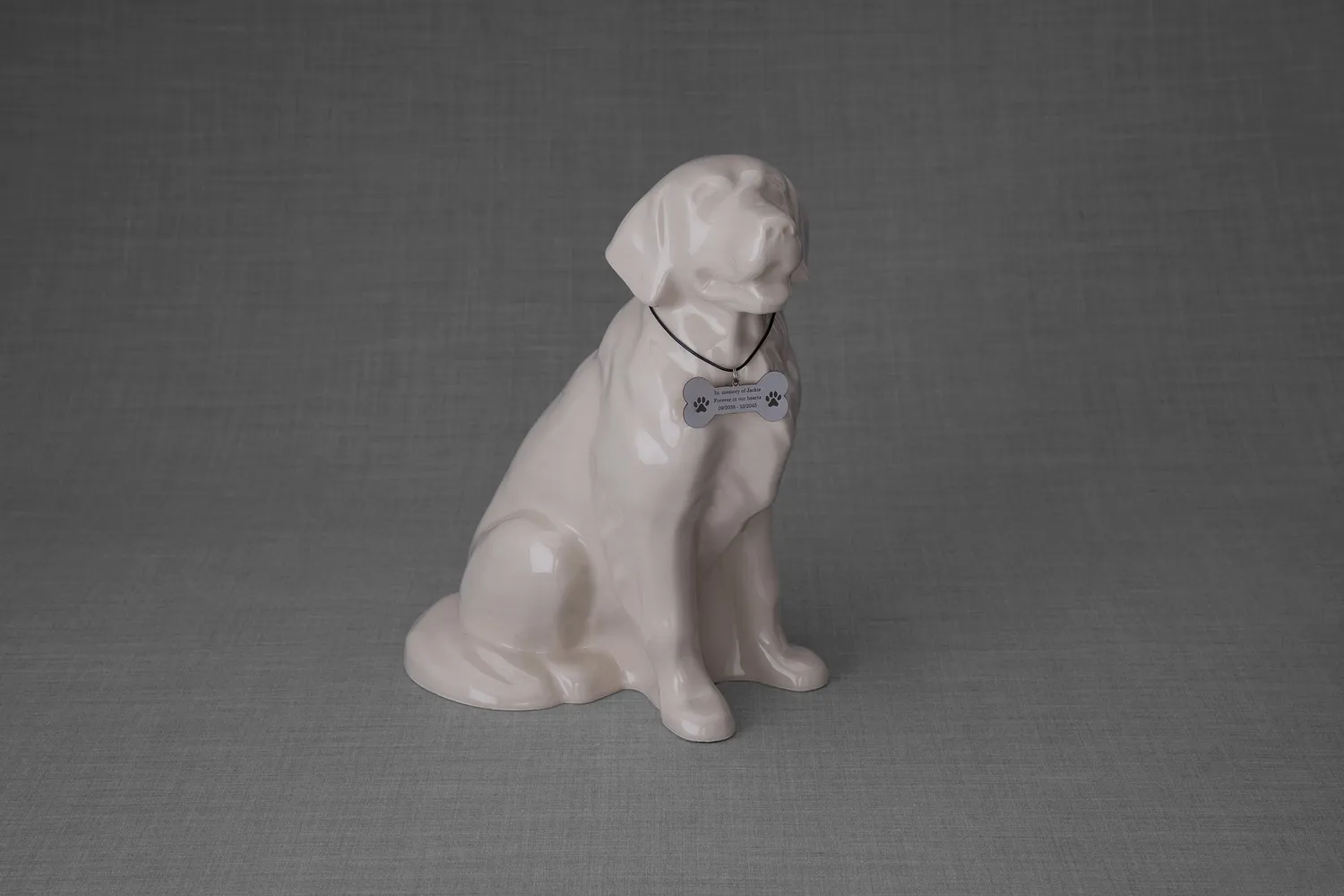 Pulvis collana commemorativa per animali in acciaio personalizzata