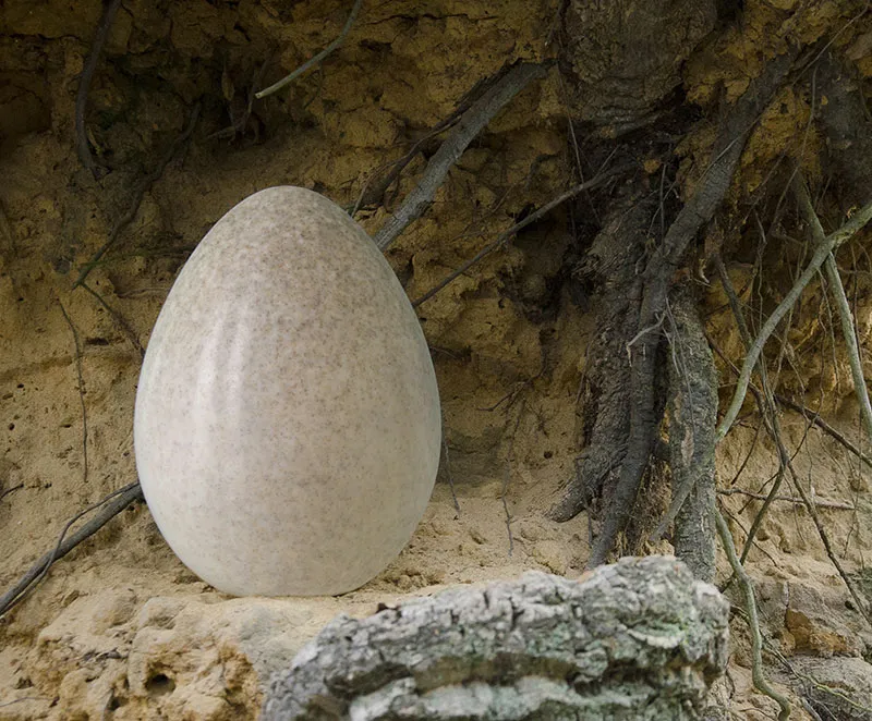 Capsula Mundi Sand urna biodegradabile per ceneri
