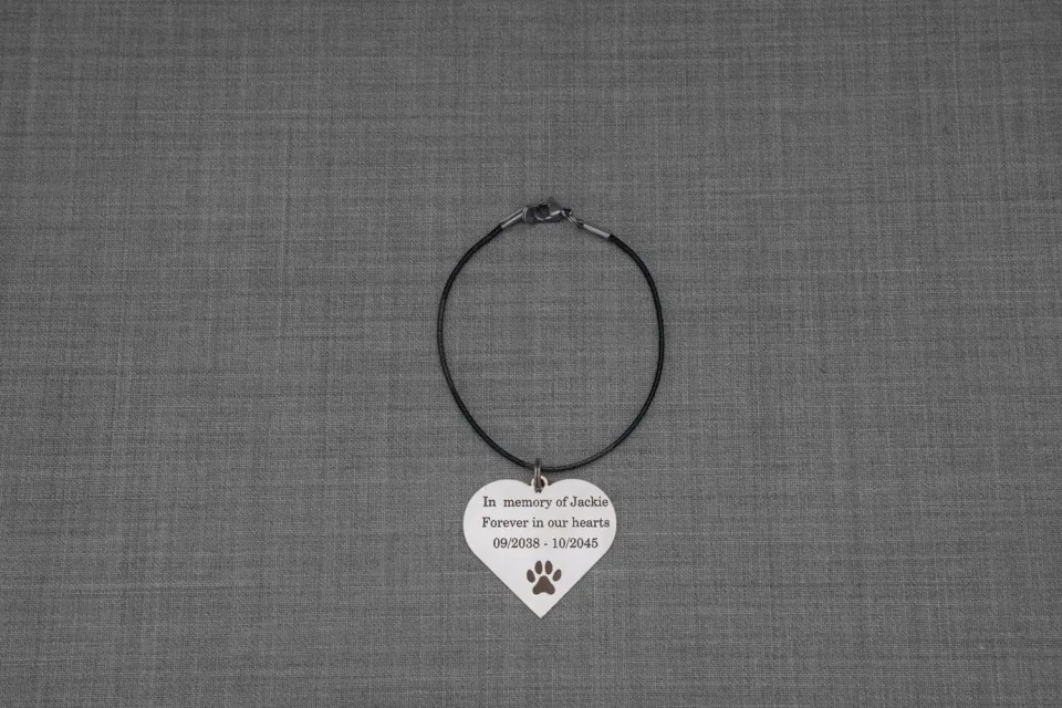 Pulvis collana commemorativa per animali in acciaio personalizzata